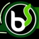Logo do BSchat: letras b e s em círculo verde
