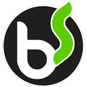 Logo da brunosoft: letras b e s em círculo preto e verde